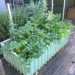 WaterUps® ELC Enviro Garden Kit