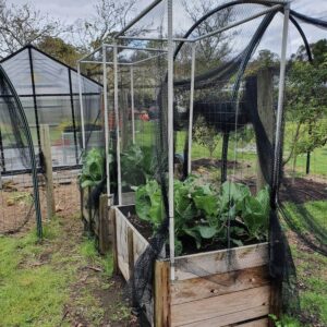 Timber Bed Netting